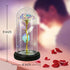 Galaxy Rose Gift with LED string lights
